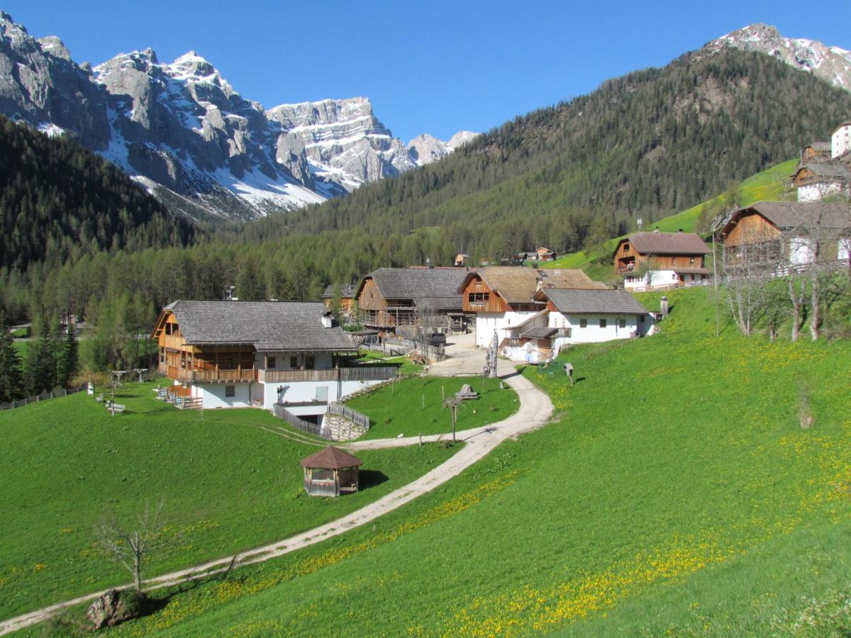 Agriturismo Luech De Vanc ซานมาร์ตีโน อิน บาร์เดีย ภายนอก รูปภาพ