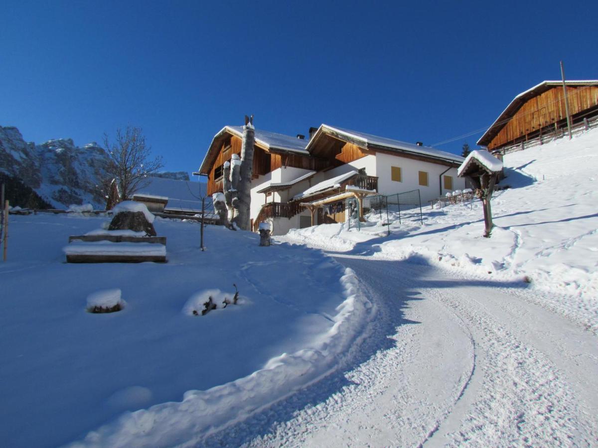 Agriturismo Luech De Vanc ซานมาร์ตีโน อิน บาร์เดีย ภายนอก รูปภาพ